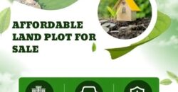 Olive Green – Properties for Sale in Almora, Uttarakhand