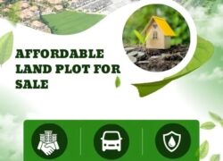 Olive Green – Properties for Sale in Almora, Uttarakhand