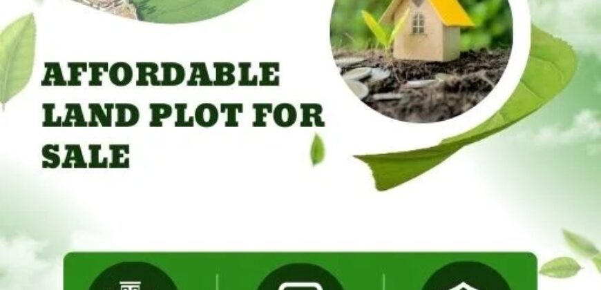 Olive Green – Properties for Sale in Almora, Uttarakhand