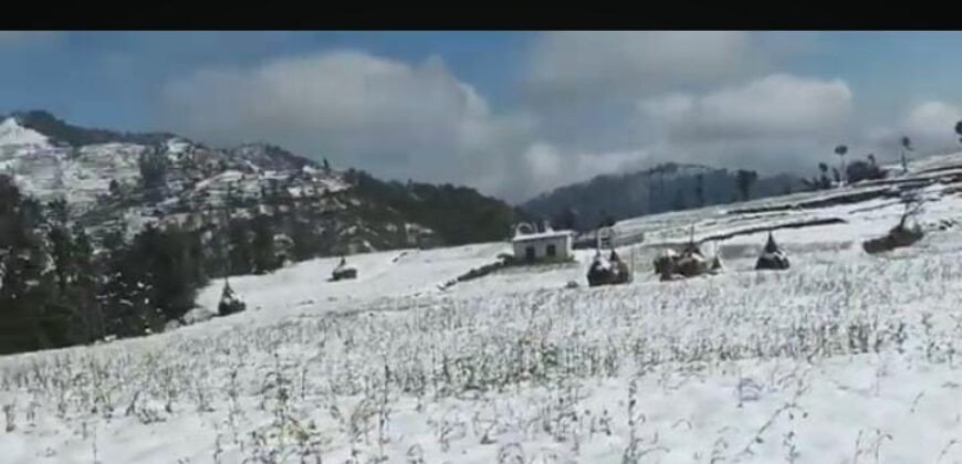 Snowfall Area Land Near Manila, Uttarakhand – Himalayan View & Roadside Property