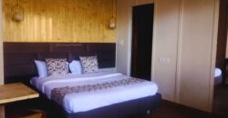 Lakeview Cottage — Peaceful Lakeview Family Staycation