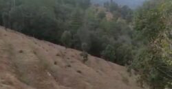 50 Nali Valley View Land for Sale Near Dwarahat & Dunagiri Temple, Uttarakhand