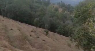 50 Nali Valley View Land for Sale Near Dwarahat & Dunagiri Temple, Uttarakhand