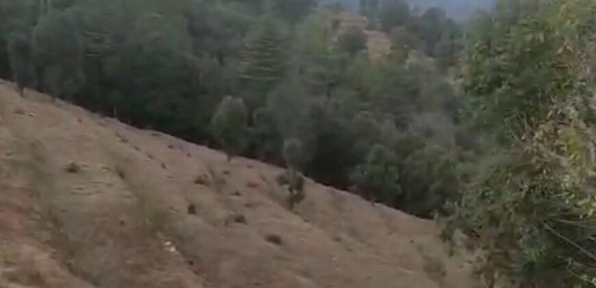 50 Nali Valley View Land for Sale Near Dwarahat & Dunagiri Temple, Uttarakhand