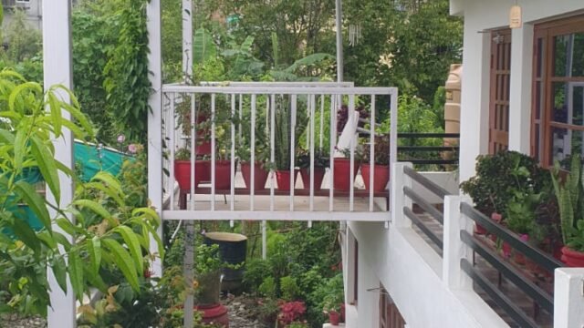 pithoragarh-green-stay-1