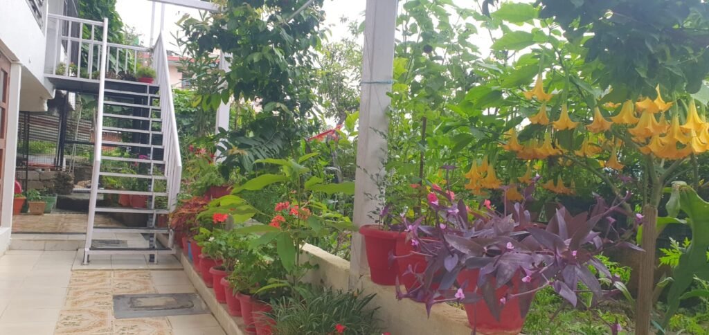 pithoragarh-green-stay-3